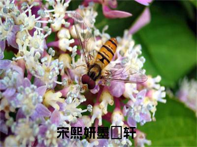 宋熙妍墨璟轩阅读无弹窗大结局_（宋熙妍墨璟轩阅读无弹窗）最新章节列表_笔趣阁（宋熙妍墨璟轩）