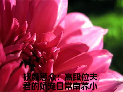 妖颜惑众：高段位夫君的娇宠日常南荞(妖颜惑众：高段位夫君的娇宠日常南荞)全文免费阅读无弹窗大结局-妖颜惑众：高段位夫君的娇宠日常南荞求书热文免费阅读
