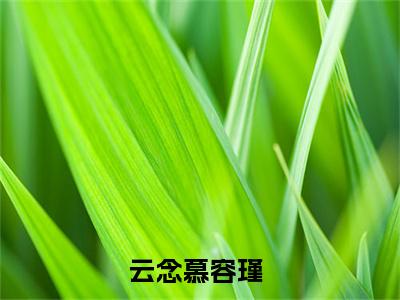 云念慕容瑾(云念慕容瑾)全文免费阅读大结局_云念慕容瑾全文在线完本阅读