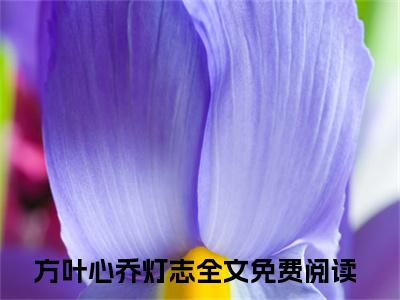 方叶心乔灯志（方叶心乔灯志）最新章节在线阅读-小说方叶心乔灯志完整版阅读