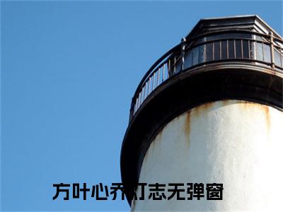（方叶心乔灯志）全文免费阅读无弹窗大结局_（方叶心乔灯志）章节列表_笔趣阁