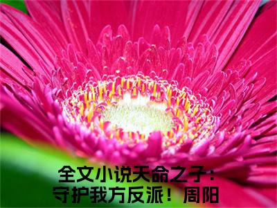 天命之子：守护我方反派！周阳（天命之子：守护我方反派！周阳）全文免费阅读大结局-天命之子：守护我方反派！周阳最新章节免费阅读大结局