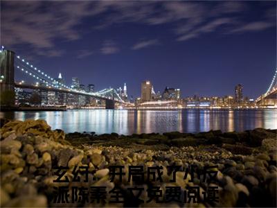 爆款小说（玄幻：开局成了小反派陈素）主角玄幻：开局成了小反派陈素全文在线完本阅读