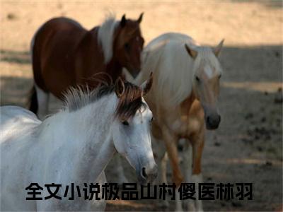 (热推新书)极品山村傻医林羽全文免费阅读无弹窗大结局-极品山村傻医林羽最新章节列表_笔趣阁（极品山村傻医林羽）