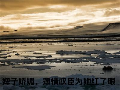冯怜怜傅诏小说全文免费阅读无弹窗-（婢子娇媚，薄情权臣为她红了眼阅读无弹窗）穿越小说免费阅读_笔趣阁