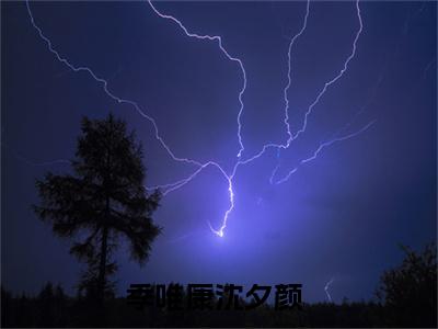 季唯康沈夕颜阅读无弹窗大结局_（季唯康沈夕颜阅读无弹窗）最新章节列表_笔趣阁（季唯康沈夕颜）