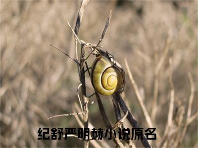 纪舒严明赫（纪舒严明赫）小说最新章节-纪舒严明赫全文免费阅读无弹窗大结局