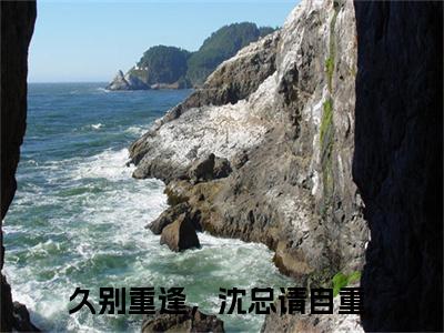 田栀沈鸣朗（久别重逢，沈总请自重）全文免费阅读_田栀沈鸣朗小说最新章节列表笔趣阁