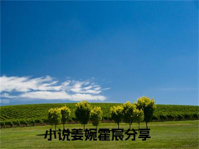 姜婉霍宸（姜婉霍宸）全文免费阅读无弹窗大结局-（姜婉霍宸）无弹窗-笔趣阁