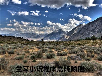 程雨嘉陈麟旭小说（程雨嘉陈麟旭）全文在线阅读无弹窗大结局