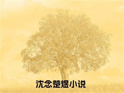 沈念楚煜全文免费完整版-沈念楚煜小说阅读