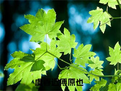 (番外)+(全文)虞春迟傅原也小说免费下载阅读_(虞春迟傅原也)虞春迟傅原也最新章节列表_笔趣阁（虞春迟傅原也）