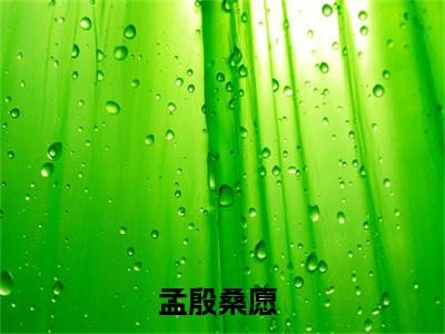 孟殷桑愿小说全文免费阅读无弹窗-正版小说全文阅读