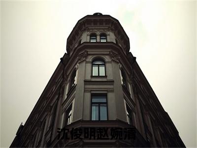 (番外)+(全文)沈俊明赵婉清后续+番外小说免费下载阅读沈俊明赵婉清后续+番外小说最新章节列表_笔趣阁（沈俊明赵婉清后续+番外）