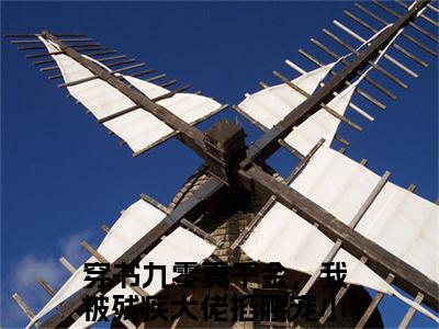 小说（穿书九零真千金，我被残疾大佬掐腰宠）_阮锦书宋修竹全文阅读_穿书九零真千金，我被残疾大佬掐腰宠免费阅读大结局