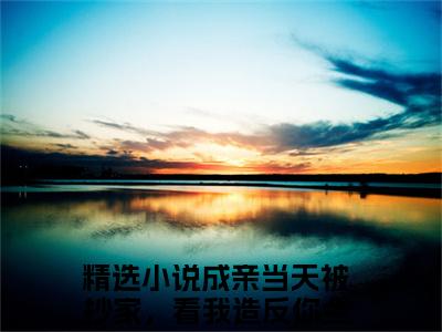 成亲当天被抄家，看我造反你全家苏越（成亲当天被抄家，看我造反你全家苏越）微小说-成亲当天被抄家，看我造反你全家苏越最新章节免费阅读