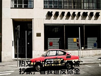 成亲当天被抄家，看我造反你全家苏越的书名大结局免费阅读 成亲当天被抄家，看我造反你全家苏越全文小说