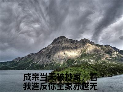成亲当天被抄家，看我造反你全家苏越（成亲当天被抄家，看我造反你全家苏越）全文免费阅读无弹窗大结局_成亲当天被抄家，看我造反你全家苏越小说全文免费阅读最新章节列表_笔趣阁