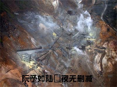 阮予如陆璟夜在线阅读-正版小说《阮予如陆璟夜》阮予如陆璟夜全文阅读