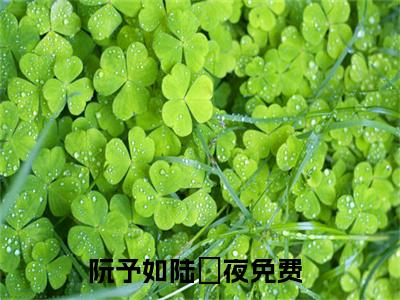 阮予如陆璟夜全网首发小说-阮予如陆璟夜无广告免费试读