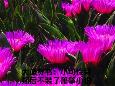 大佬穿书：小可怜替嫁后不装了箫筝小说全文-大佬穿书：小可怜替嫁后不装了箫筝最新章节免费阅读大佬穿书：小可怜替嫁后不装了箫筝小说