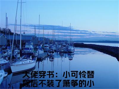大佬穿书：小可怜替嫁后不装了箫筝完整版最新小说大结局-大佬穿书：小可怜替嫁后不装了箫筝无删版阅读