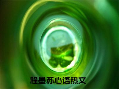 程墨苏心语全文免费阅读无弹窗-程墨苏心语最新章节列表在线阅读