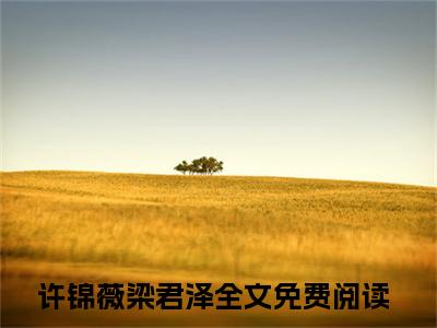 热门榜单精彩小说许锦薇梁君泽，许锦薇梁君泽推荐小说免费章节阅读
