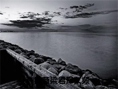 许锦薇梁君泽小说完整版阅读 许锦薇梁君泽呈全文在线赏析