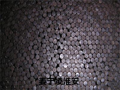 姜宁凌淮安阅读无弹窗大结局_（姜宁凌淮安阅读无弹窗）最新章节列表_笔趣阁（姜宁凌淮安）