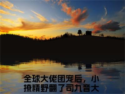 全球大佬团宠后，小撩精野翻了司九音精彩章节小说-全球大佬团宠后，小撩精野翻了司九音最新更新阅读