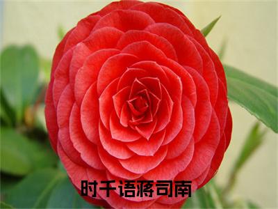 时千语蒋司南（时千语蒋司南）全文免费阅读无弹窗大结局_时千语蒋司南最新章节列表_笔趣阁（时千语蒋司南）