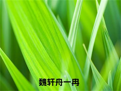 魏轩舟一冉全文（魏轩舟一冉）全文免费阅读无弹窗大结局_魏轩舟一冉免费最新章节列表_笔趣阁