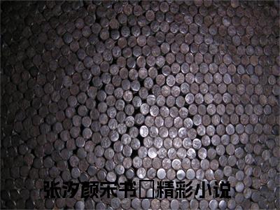 张汐颜宋书玓是什么小说-张汐颜宋书玓免费小说在线阅读