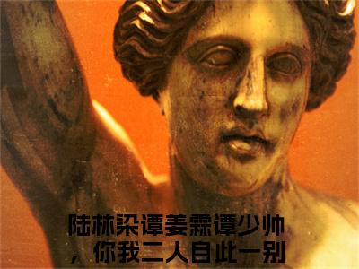 陆林染谭姜霖（谭少帅，你我二人自此一别两宽，各自欢喜）全文免费阅读无弹窗大结局_谭少帅，你我二人自此一别两宽，各自欢喜:陆林染谭姜霖最新章节列表_笔趣阁