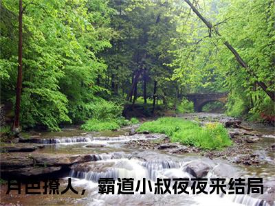 月色撩人，霸道小叔夜夜来全文免费阅读_（萧染商酌言免费阅读无弹窗）月色撩人，霸道小叔夜夜来最新章节列表笔趣阁