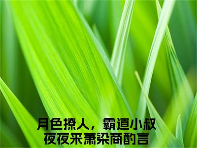 月色撩人，霸道小叔夜夜来无弹窗（萧染商酌言）全文免费阅读无弹窗大结局_（月色撩人，霸道小叔夜夜来无弹窗）萧染商酌言无弹窗最新章节列表