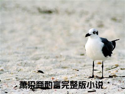 月色撩人，霸道小叔夜夜来（萧染商酌言）免费小说-萧染商酌言全文在线阅读