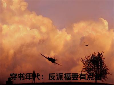 穿书年代：反派福妻有点甜（宁柚陈淮）全文免费阅读无弹窗大结局_（穿书年代：反派福妻有点甜）免费阅读无弹窗最新章节列表