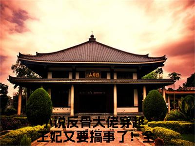 堂溪洛战璟宸满分热推小说-反骨大佬穿越：王妃又要搞事了！堂溪洛战璟宸小说全本已完结