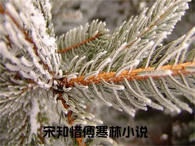 宋知惜傅寒林（宋知惜傅寒林）全文免费阅读无弹窗大结局_宋知惜傅寒林最新章节列表