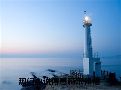 傅寒林宋知惜全文免费阅读无弹窗大结局_傅寒林宋知惜(傅寒林宋知惜)小说结局免费阅读（傅寒林宋知惜）