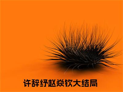 大梦初醒，荒唐一生，往后，我不要你了（许辞纾赵焱钦小说）全文免费阅读无弹窗大结局_许辞纾赵焱钦小说免费阅读最新章节列表