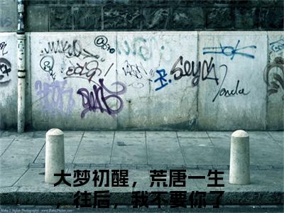 大梦初醒，荒唐一生，往后，我不要你了最新热门小说-（许辞纾赵焱钦）最新章节免费阅读