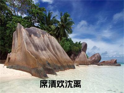 席清欢沈离最新章节（席清欢沈离免费在线阅读）全文免费阅读无弹窗大结局_席清欢沈离免费在线阅读免费阅读（席清欢沈离）