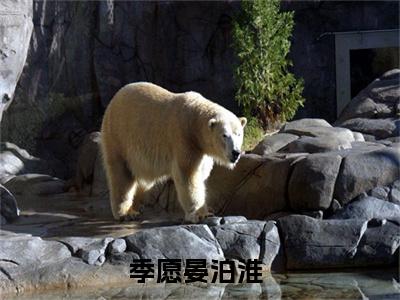 倾城之洛（季愿晏泊淮）全文免费阅读_倾城之洛（季愿晏泊淮）最新章节列表笔趣阁