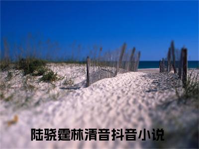 陆骁霆林清音小说小说全文免费阅读（陆骁霆林清音）全文免费陆骁霆林清音读无弹窗大结局