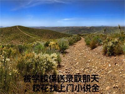 高赞小说姜凡楚若汐（被学校保送录取那天，校花找上门）完结阅读_被学校保送录取那天，校花找上门姜凡楚若汐免费看全文