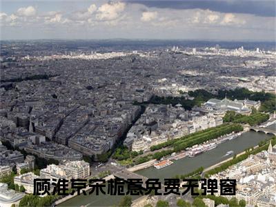 《顾淮京宋栀意》全文免费阅读无弹窗大结局_顾淮京宋栀意无弹窗全文阅读
