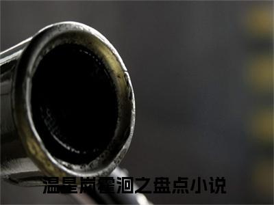 温星岚霍洄之(温星岚霍洄之)全文免费阅读无弹窗大结局_(温星岚霍洄之免费阅读全文大结局)最新章节列表_笔趣阁（温星岚霍洄之）